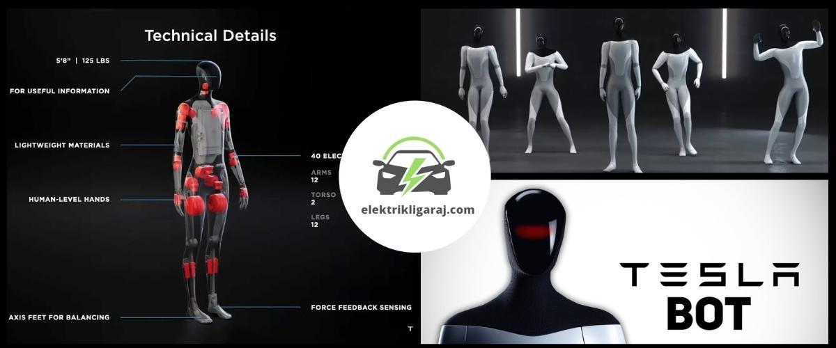 İnsan Robotlar Tesla Fabrikalarında Üretilecek